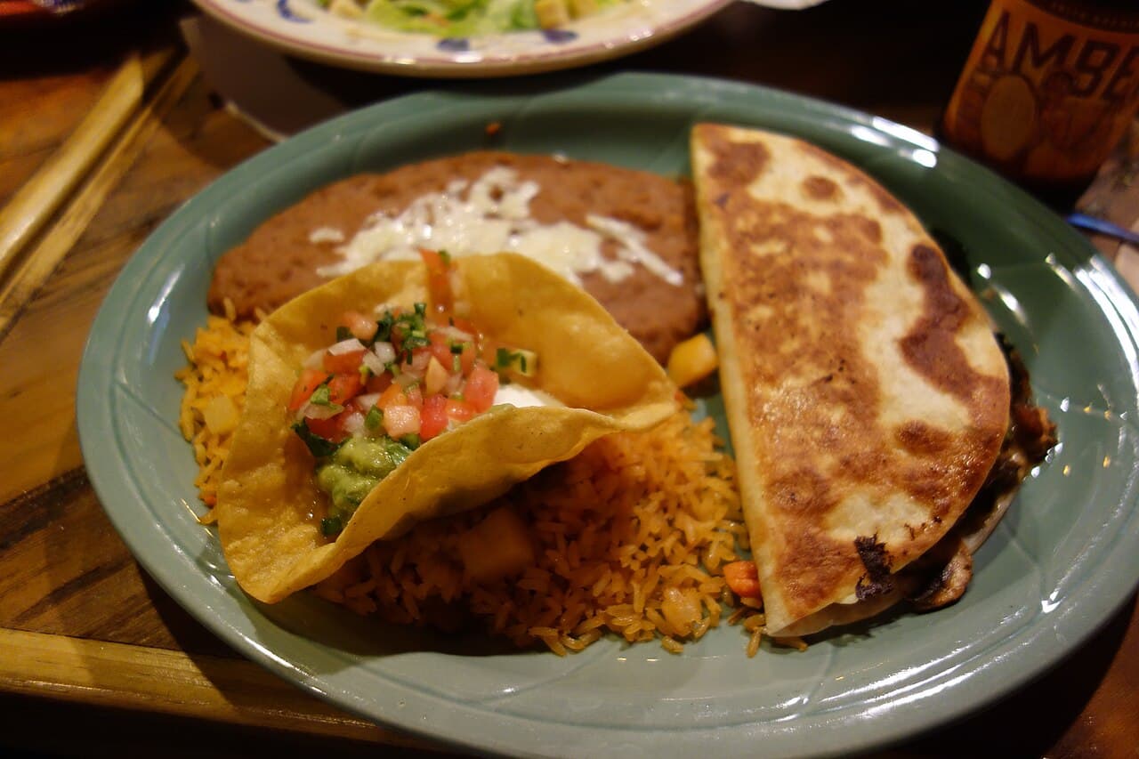 Source photograph of Quesadilla