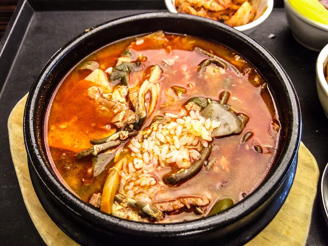 Source photograph of Yukgaejang